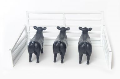Show Cattle Stall Display White